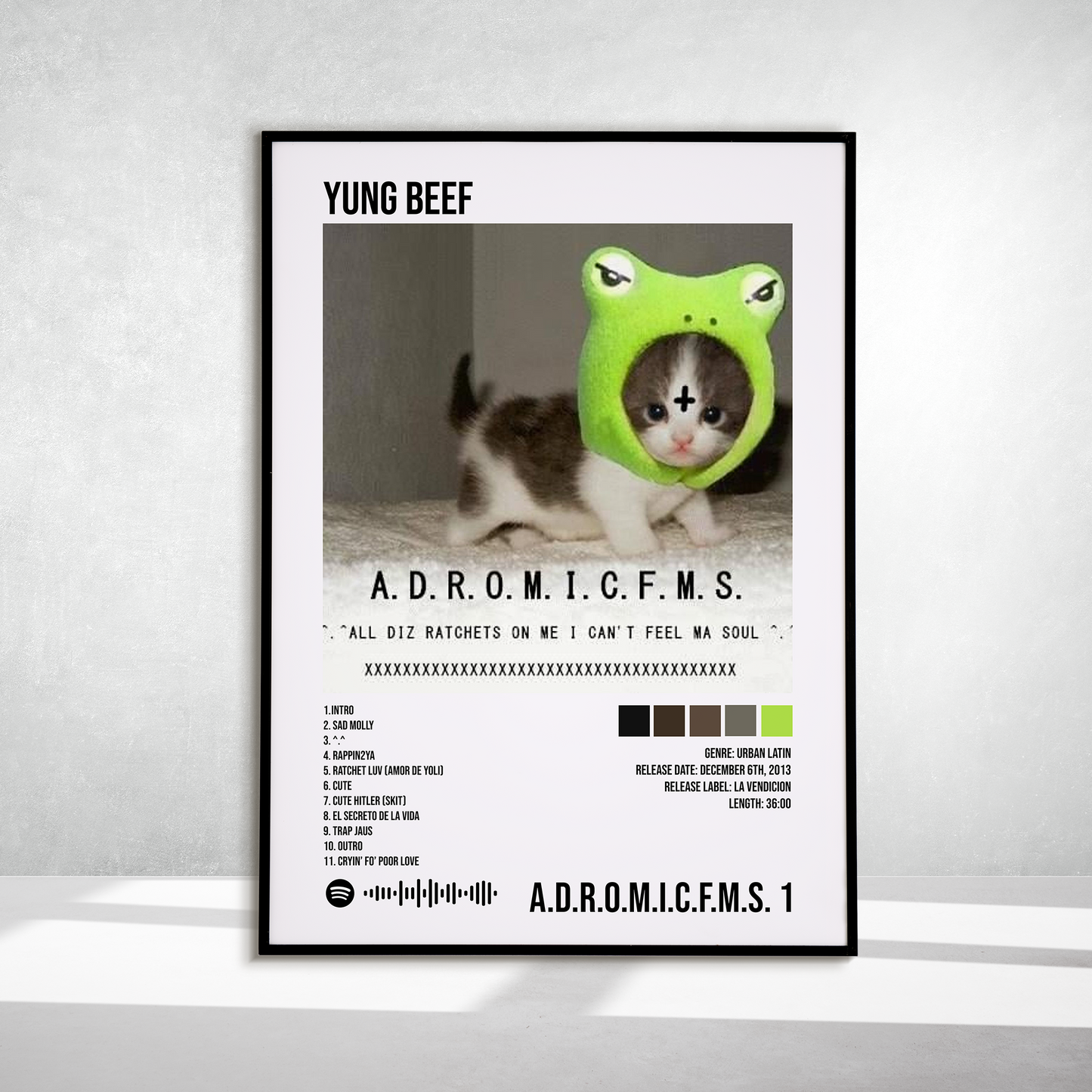 A.D.R.O.M.I.C.F.M.S. 1